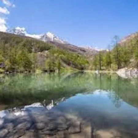 Del Paese Incantato Comune Di *